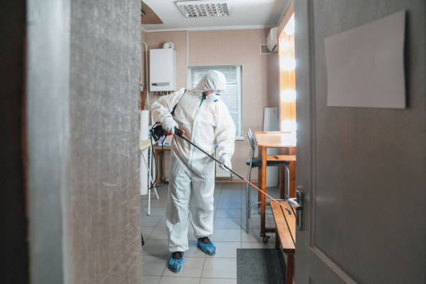 Best Mold Documentation for Insurance Claims  in Salton City, CA