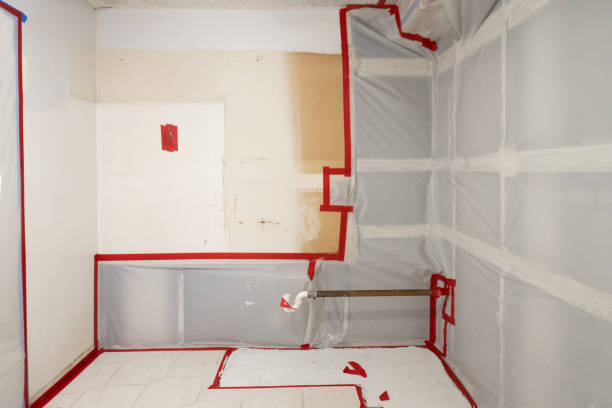 Best Airborne Mold Testing  in Salton City, CA