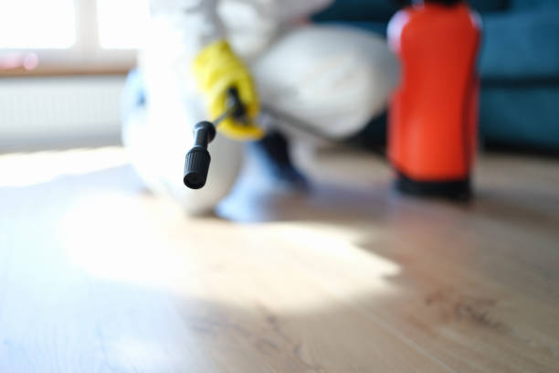 Best Post-Construction Mold Inspection  in Salton City, CA