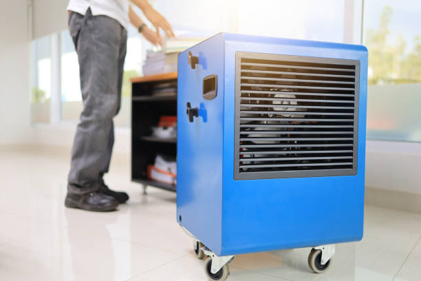 Best Mold Prevention Services  in Salton City, CA